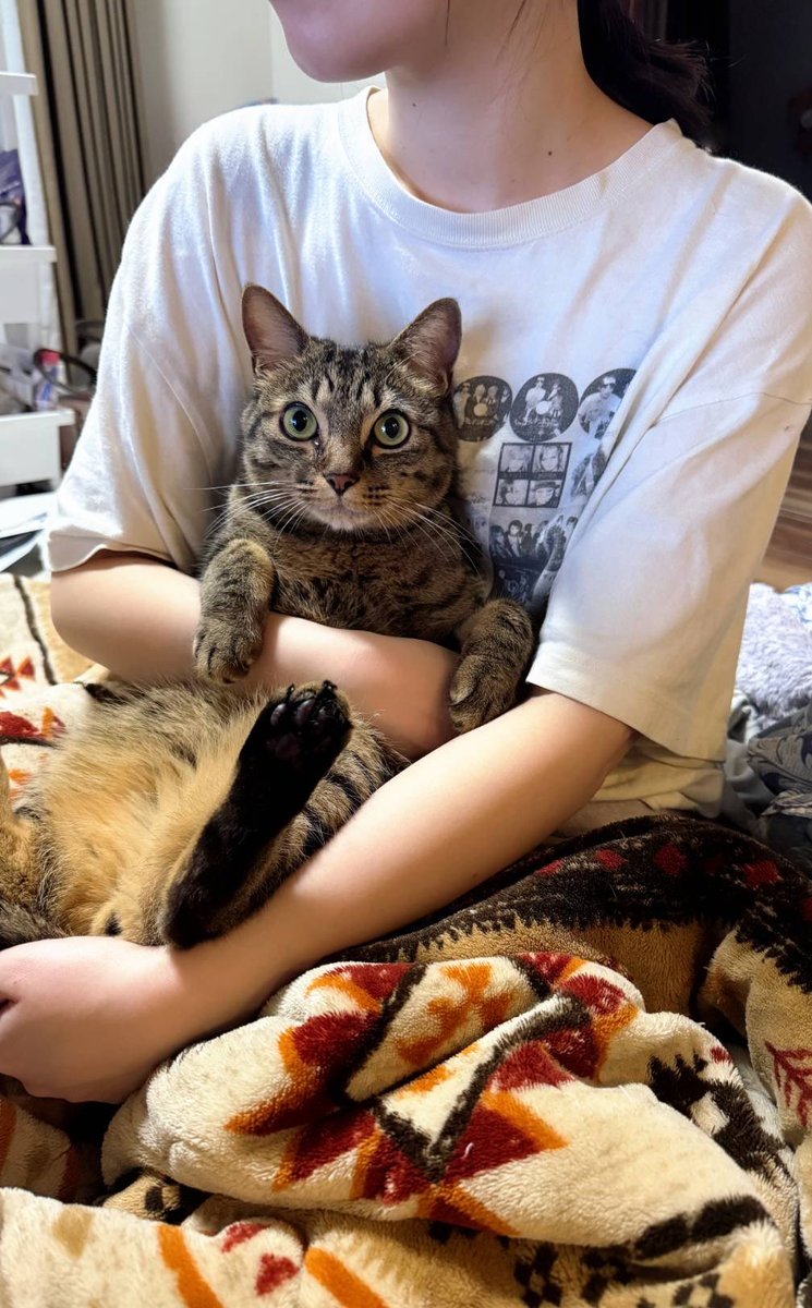 光の力しーちゃん tweet media