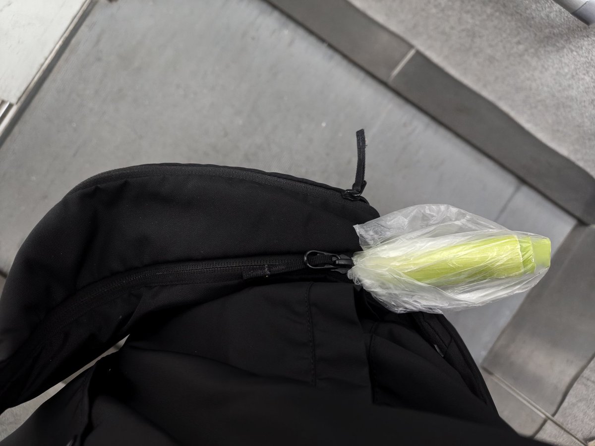 ぁーこ。 tweet media