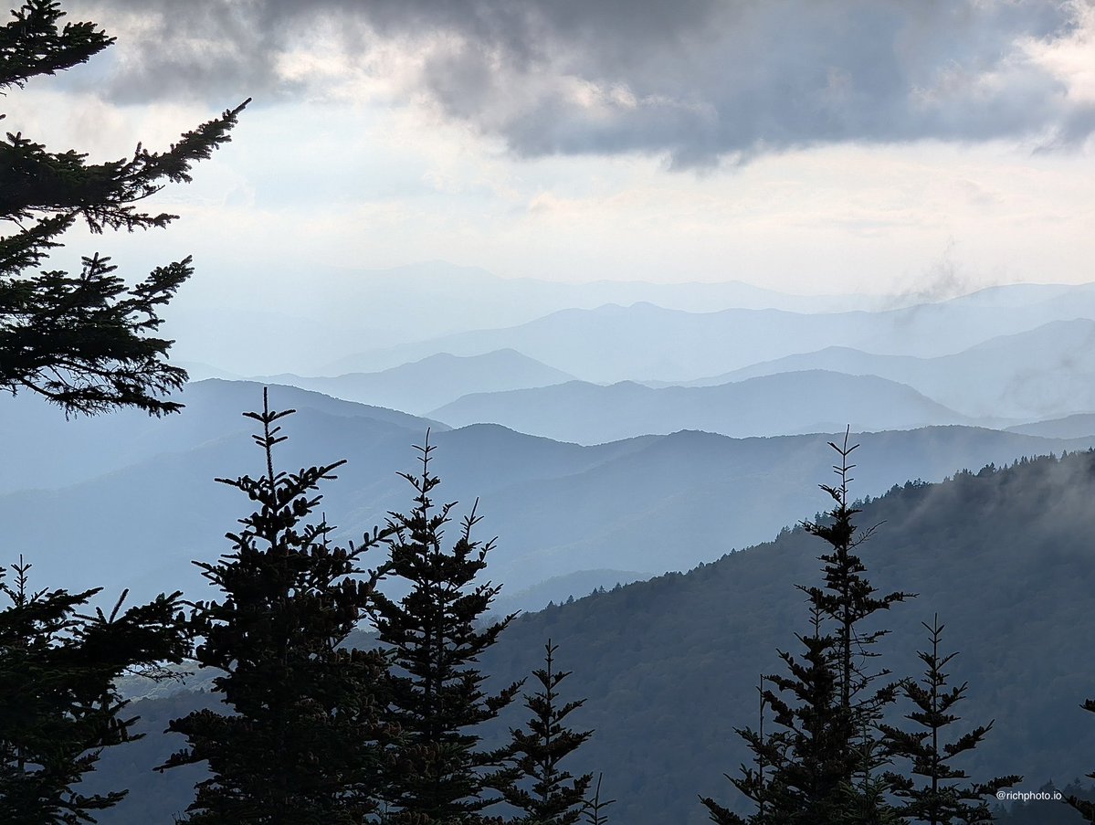 Rich Photography tweet media