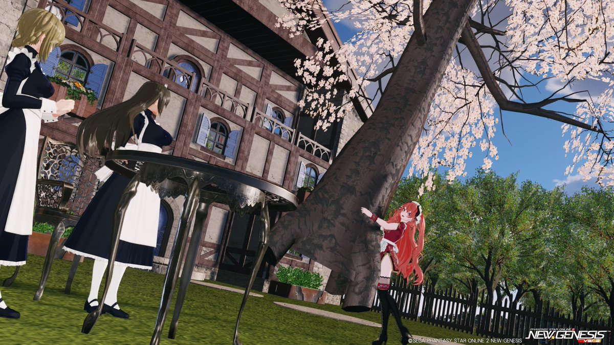 🤵‍♀️「桜は繊細なので、むやみに枝を切ってはいけません」
🐲「なるほど」
#PSO2NGS_SS
