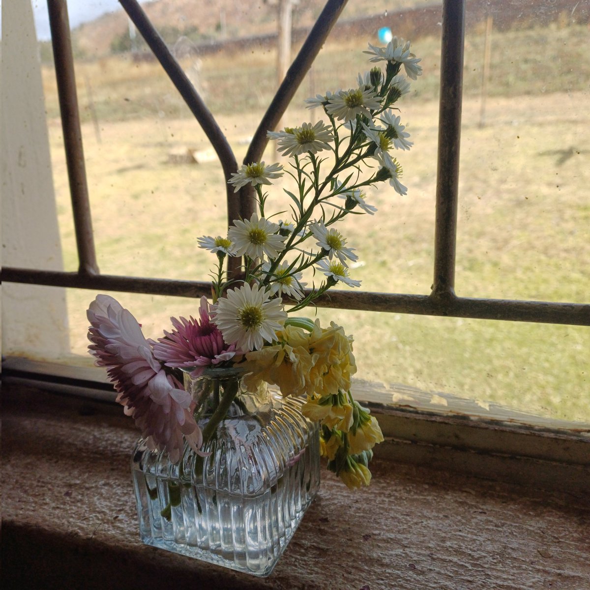 Free#Day☆P tweet media