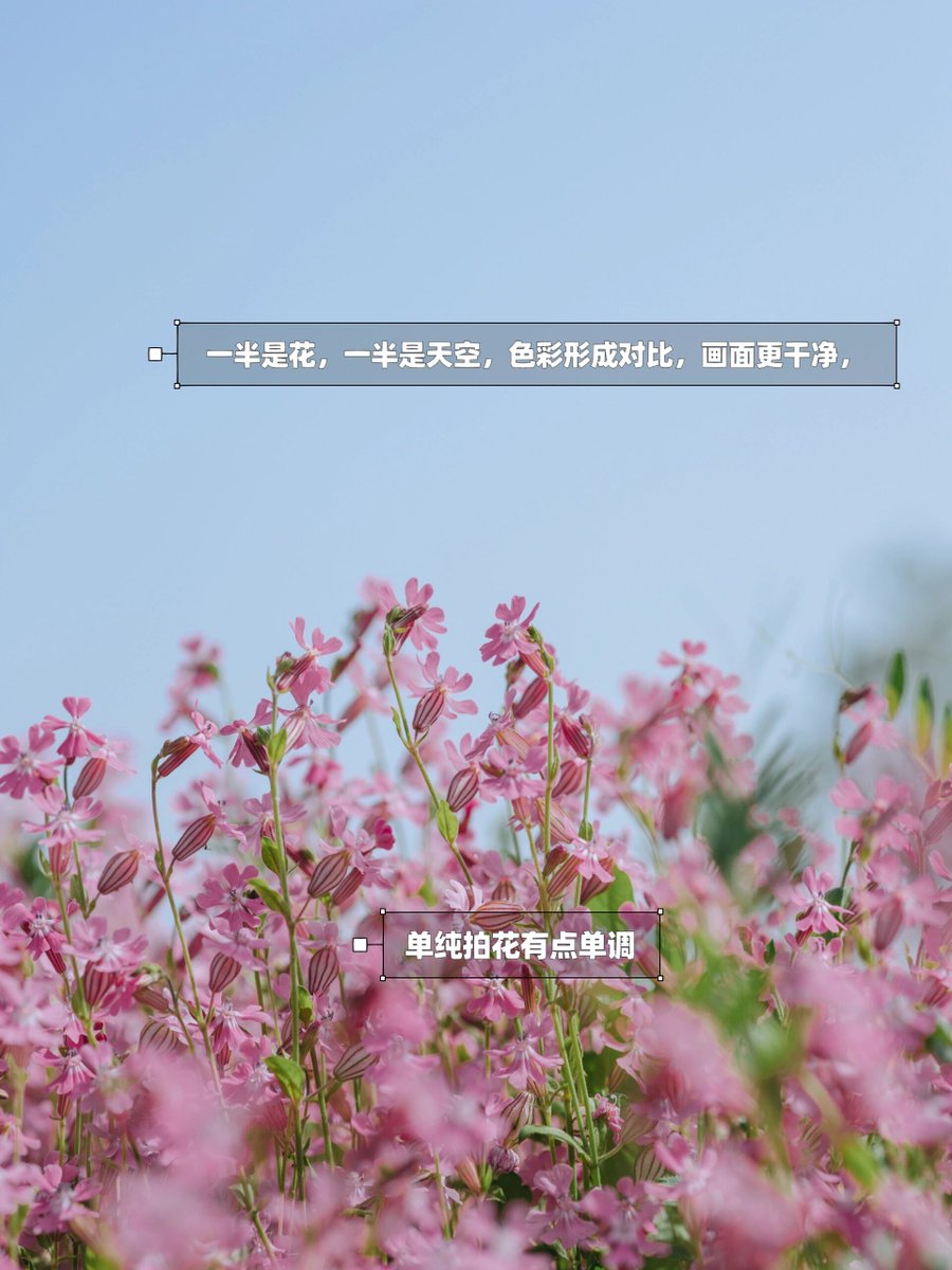 Laurens Gilles tweet media