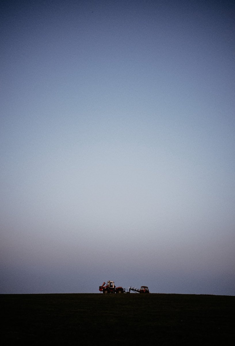 всё ещё веган tweet media