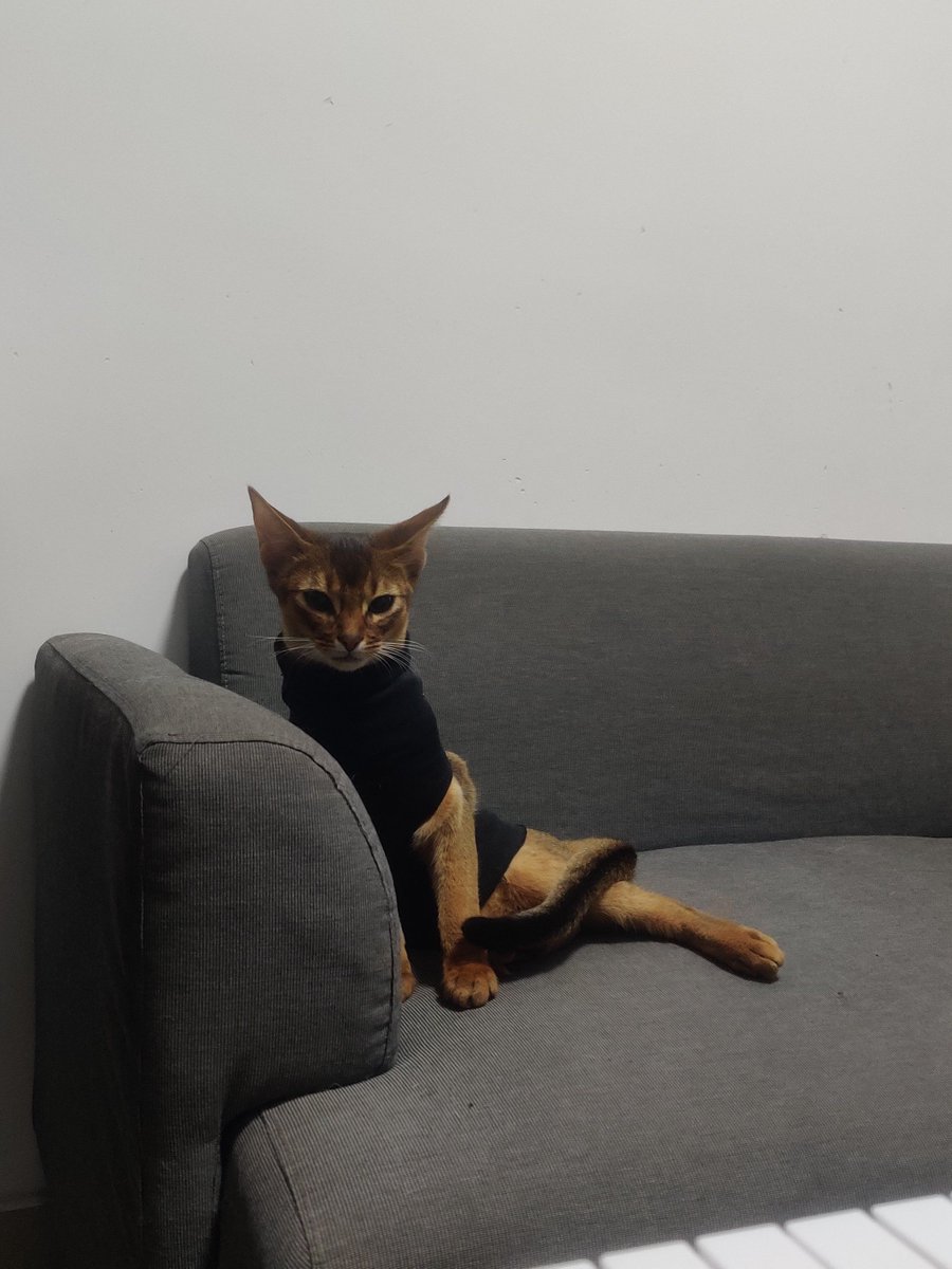 Amy Lemieux tweet media