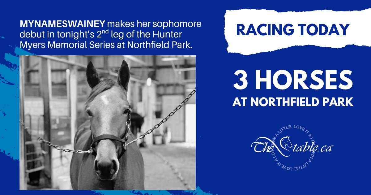 TheStableCanada's tweet photo. A trio of pacers racing at Northfield Park on Saturday night:

https://t.co/rWoXCIITc5

#ownalittleloveitalot https://t.co/fYj959WWFu