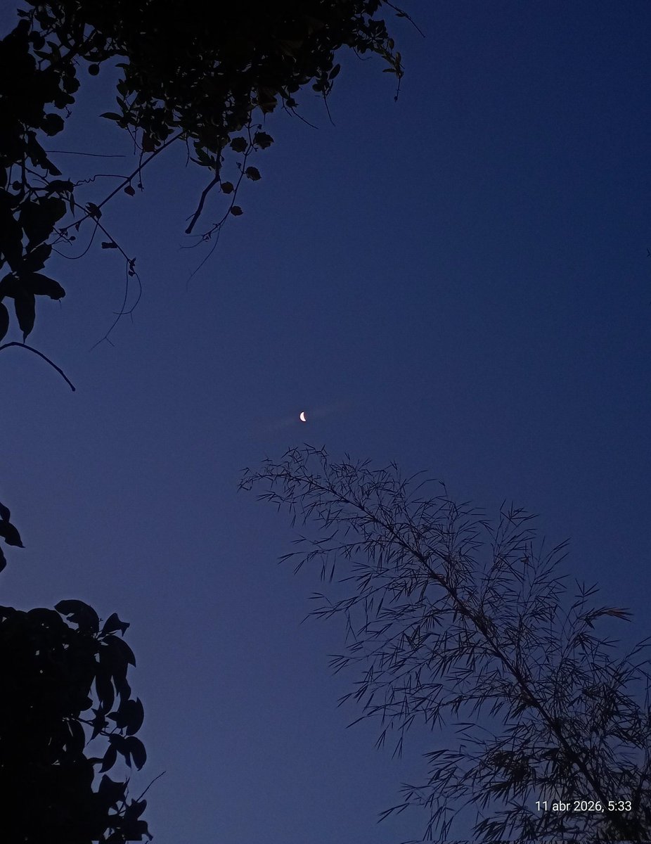 Rodaskortt tweet media