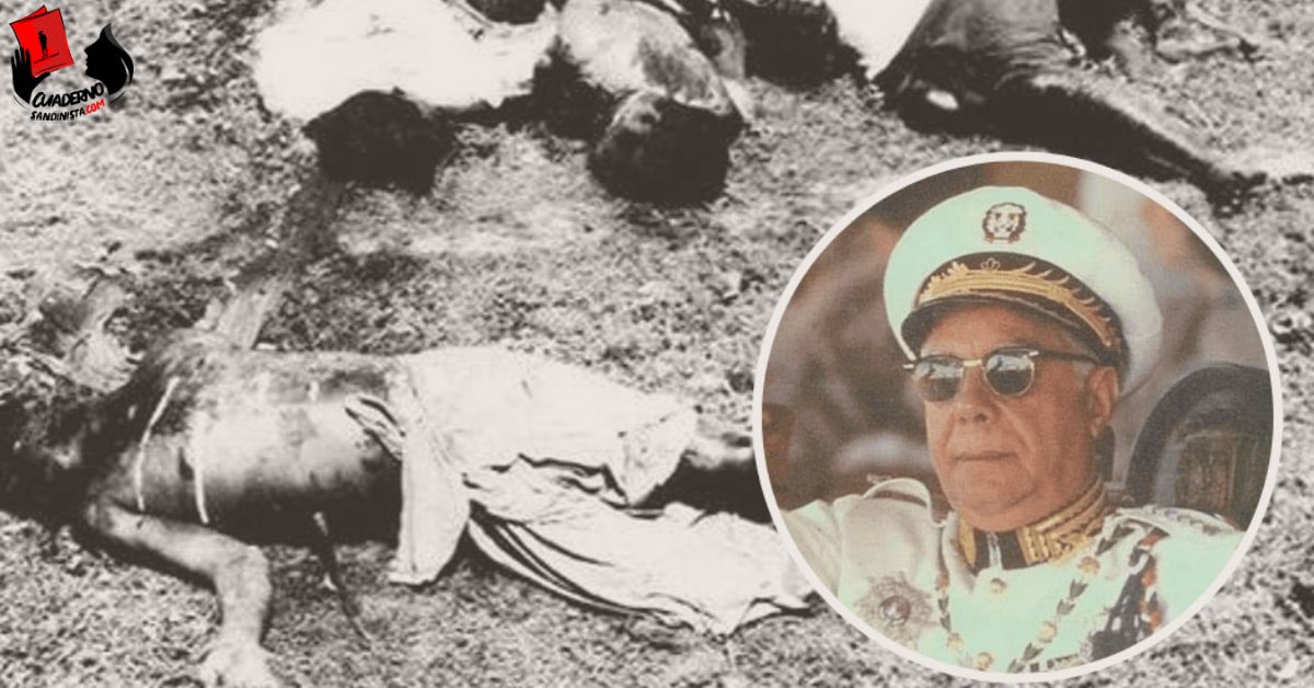 Alex Amaro 🇩🇴 tweet media