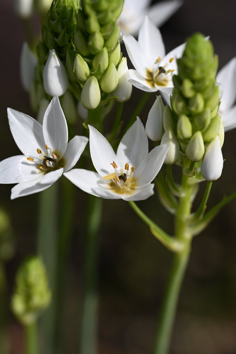 kensukevr6 tweet media