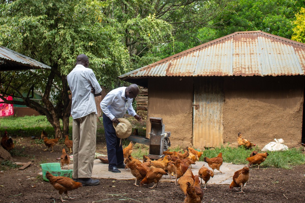 DaniNierenberg's tweet photo. We are in Kosuma, Kenya with the team at ICIPE - International Centre of Insect Physiology and Ecology (@icipe) where the future of food systems is being built from the ground up.

I spent time with young farmers, researchers, and entrepreneurs who are turning science into real opportunity. Not just jobs, but livelihoods with dignity. Not just innovation, but impact you can see in the soil, in the fields, and in the next generation stepping forward.

This is what investing in people looks like.