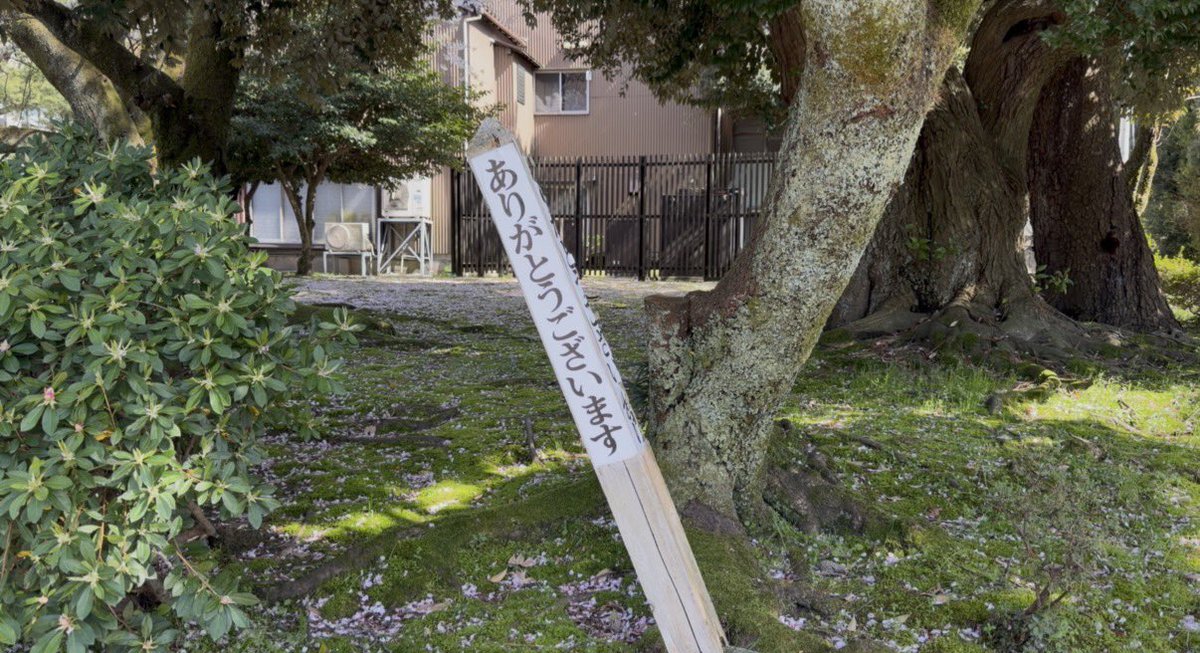 初金沢🍜🍞🪽🙏たくさん食べてライブ見て最高の気持ちで帰還、5週連続日本各地で逃げ水あむさんの日々が終わるの寂しい🥲