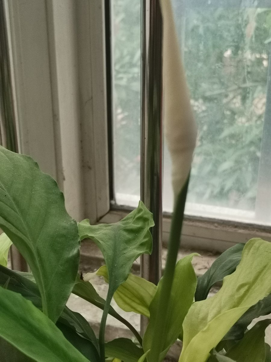 TopGamesNow tweet media