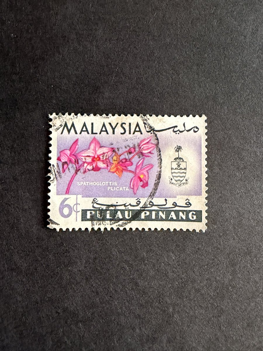 Philatelovely's tweet image. A Magnificent welcome to you all. It’s the letter M in the a-z of Flowers on Stamps. Here are My stamps, don’t forget to share yours too.

Malaysia 🇲🇾 
Malta 🇲🇹 

#stampcollecting #philately #stamps