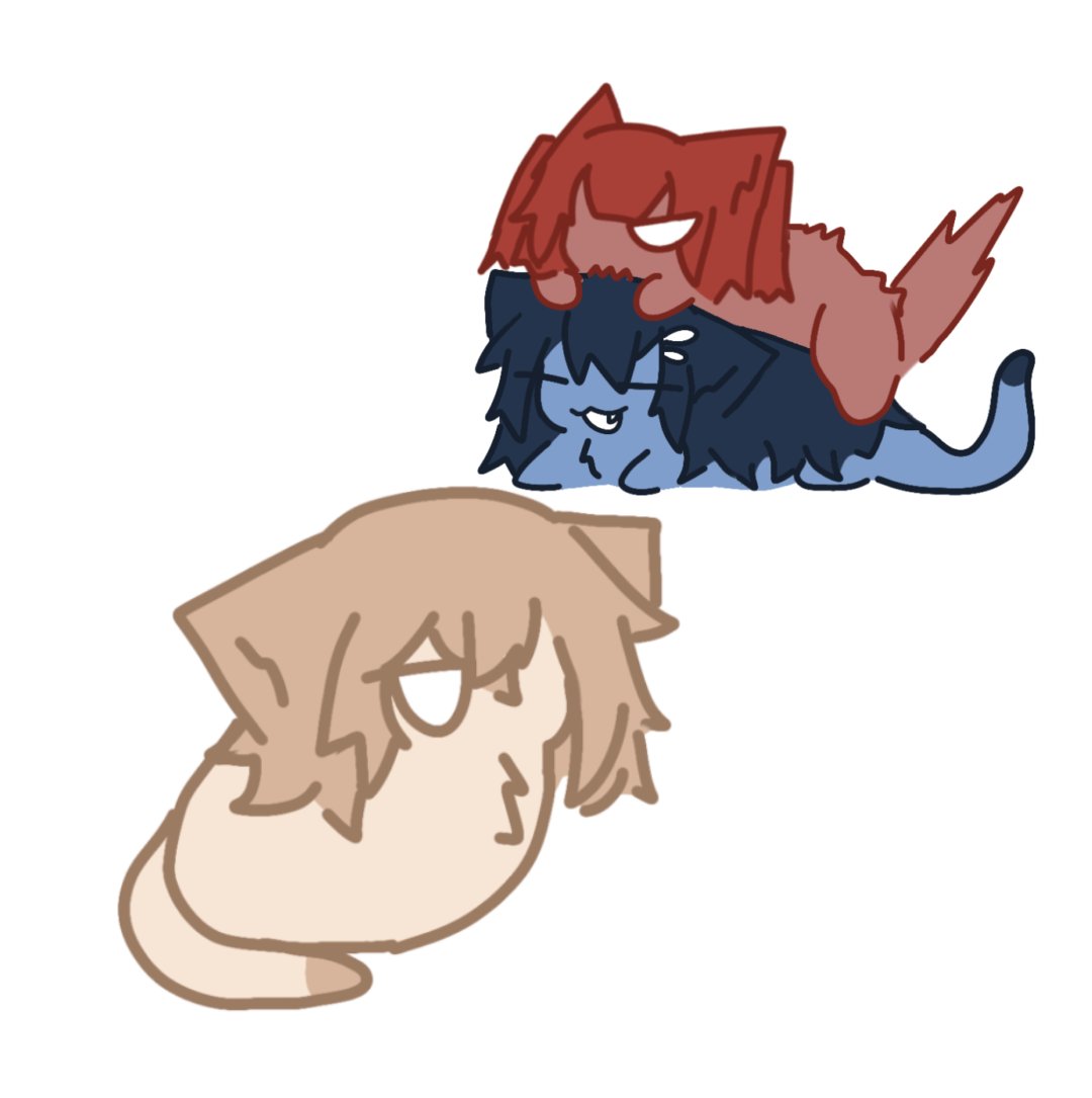 Gòng Bếu 🐲 tweet media