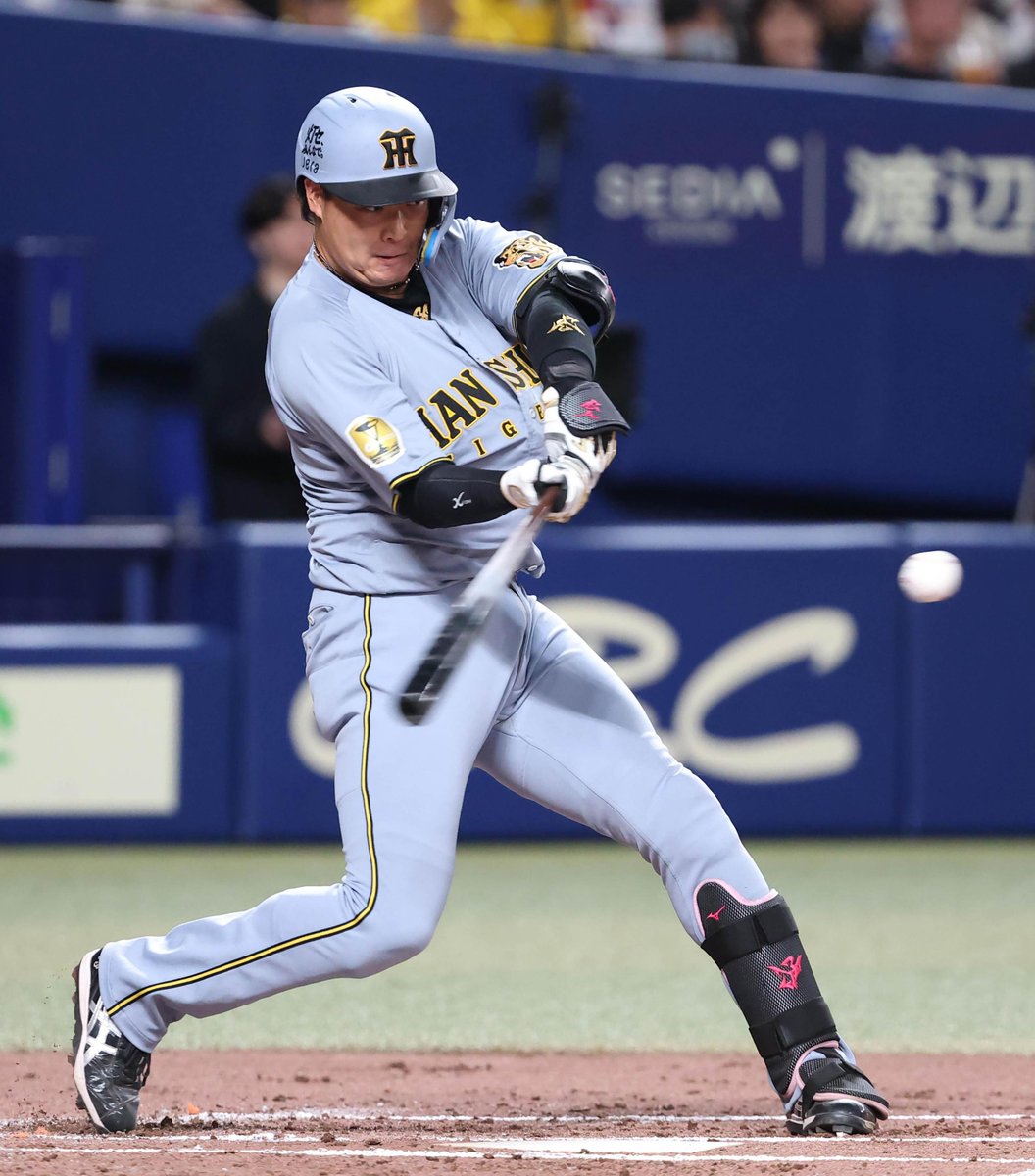 とらほーーち tweet media