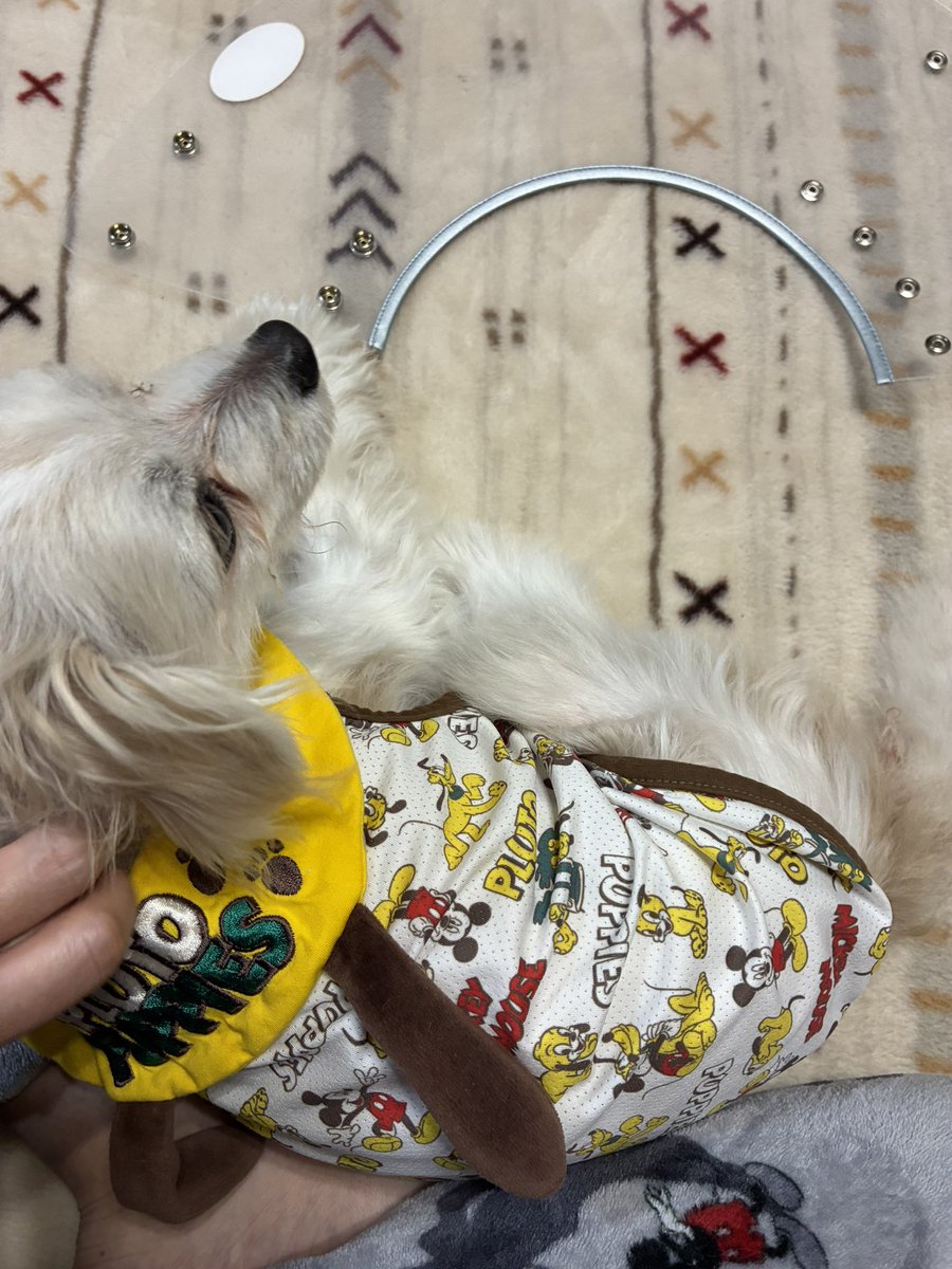 SHINON🤗 tweet media