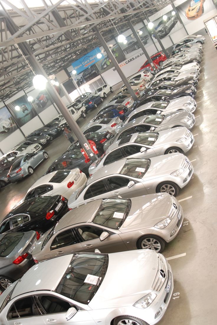 FIFI🌟 tweet media