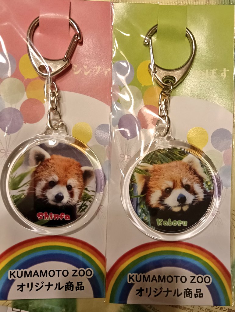 パンダバ tweet media