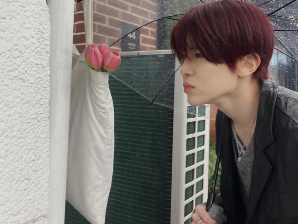 𝑆𝑜𝑛𝑎 ♡ tweet media