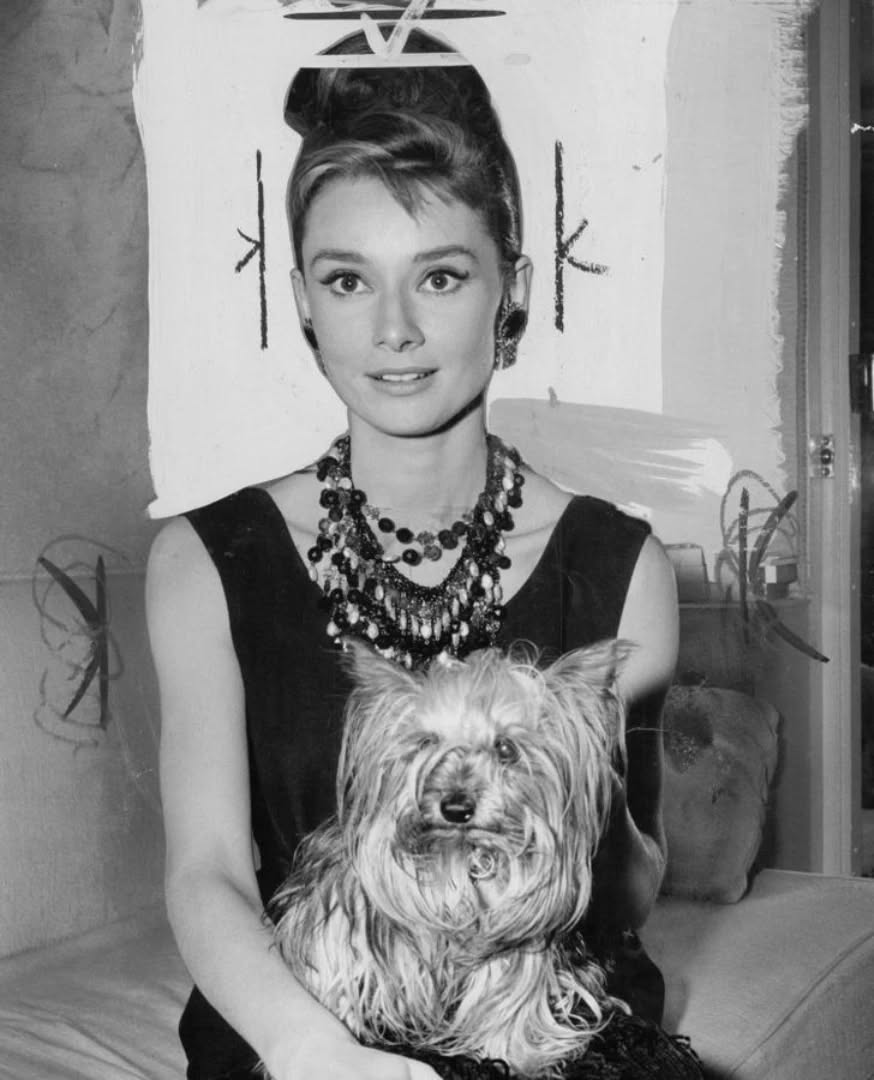 Audrey Hepburn and Mr. Famous photographed during the filming of Breakfast at Tiffany's, 1960