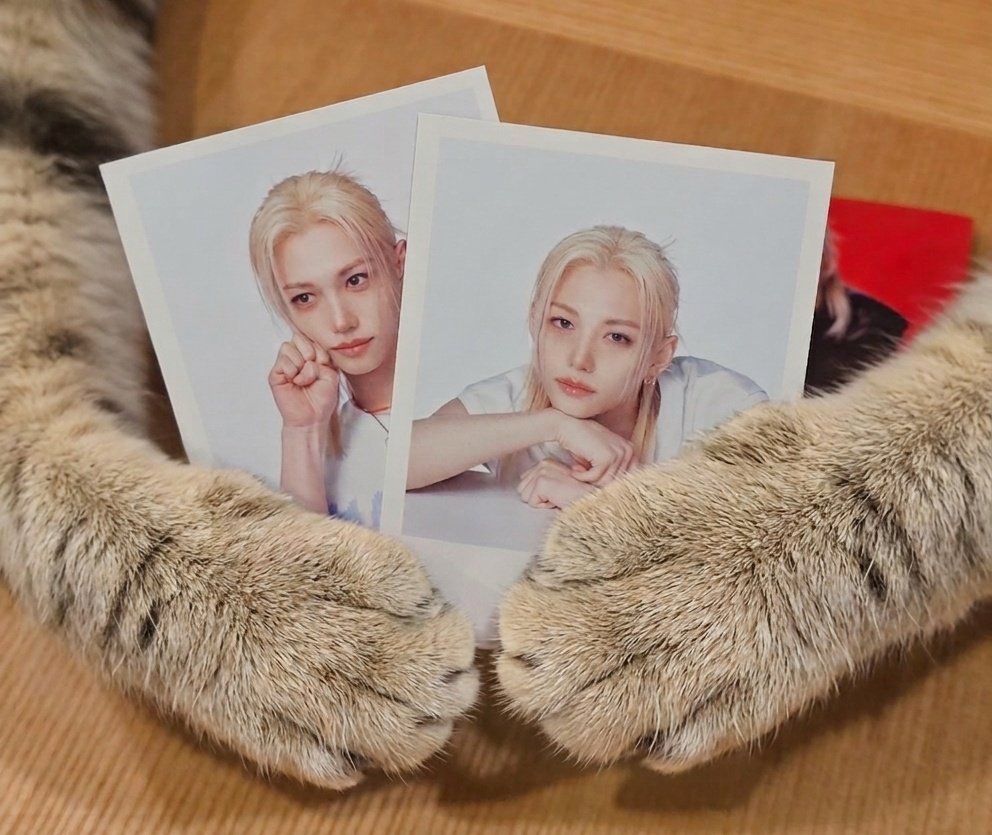 여자라면 뽁프라면
성수 the Felix city 꼭 가...