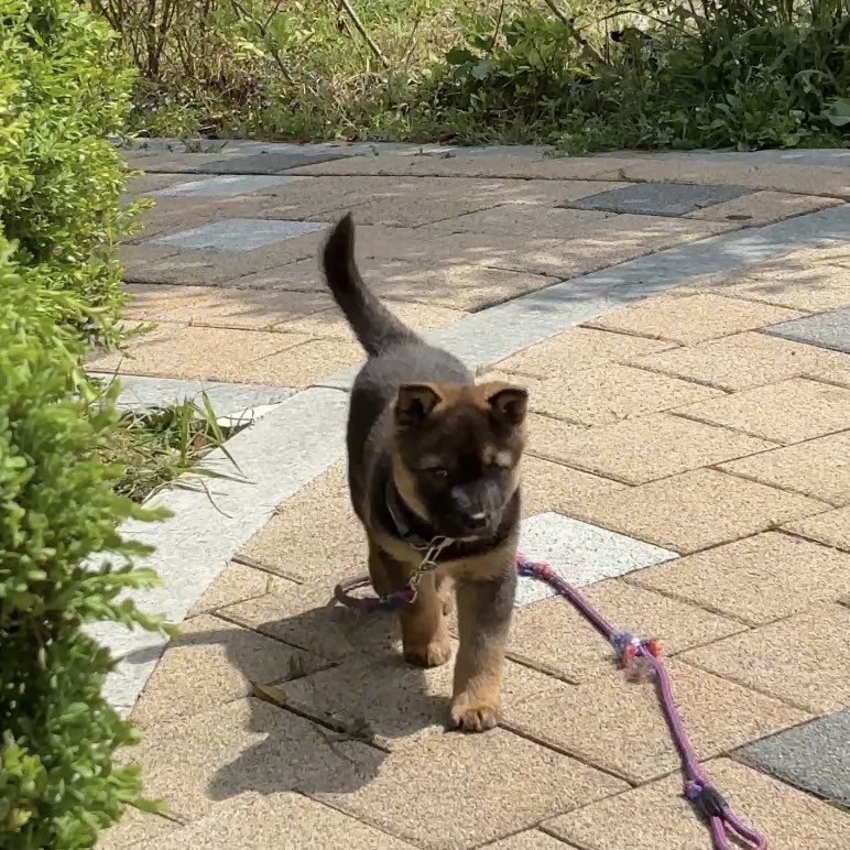 Pᴇᴀᴄʜ Jᴀᴍ .‧˚ ෆ⃛⁺˚ tweet media