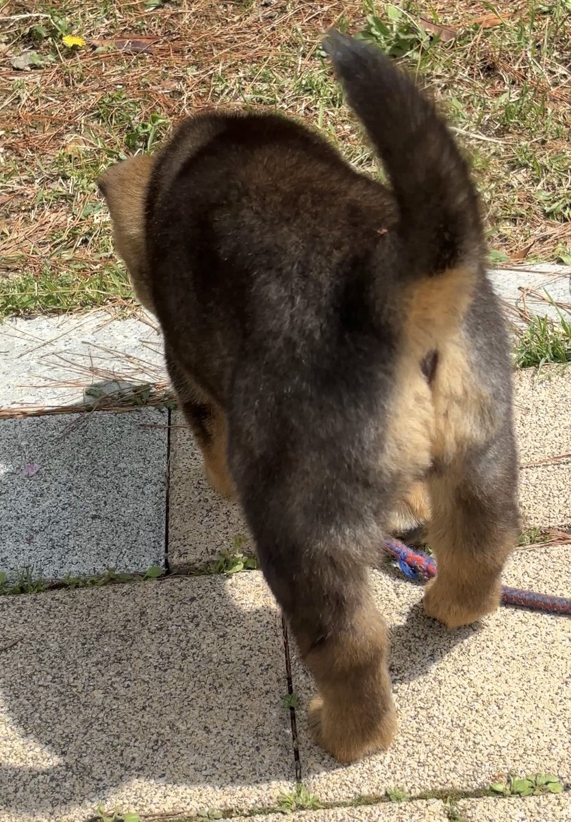 Pᴇᴀᴄʜ Jᴀᴍ .‧˚ ෆ⃛⁺˚ tweet media