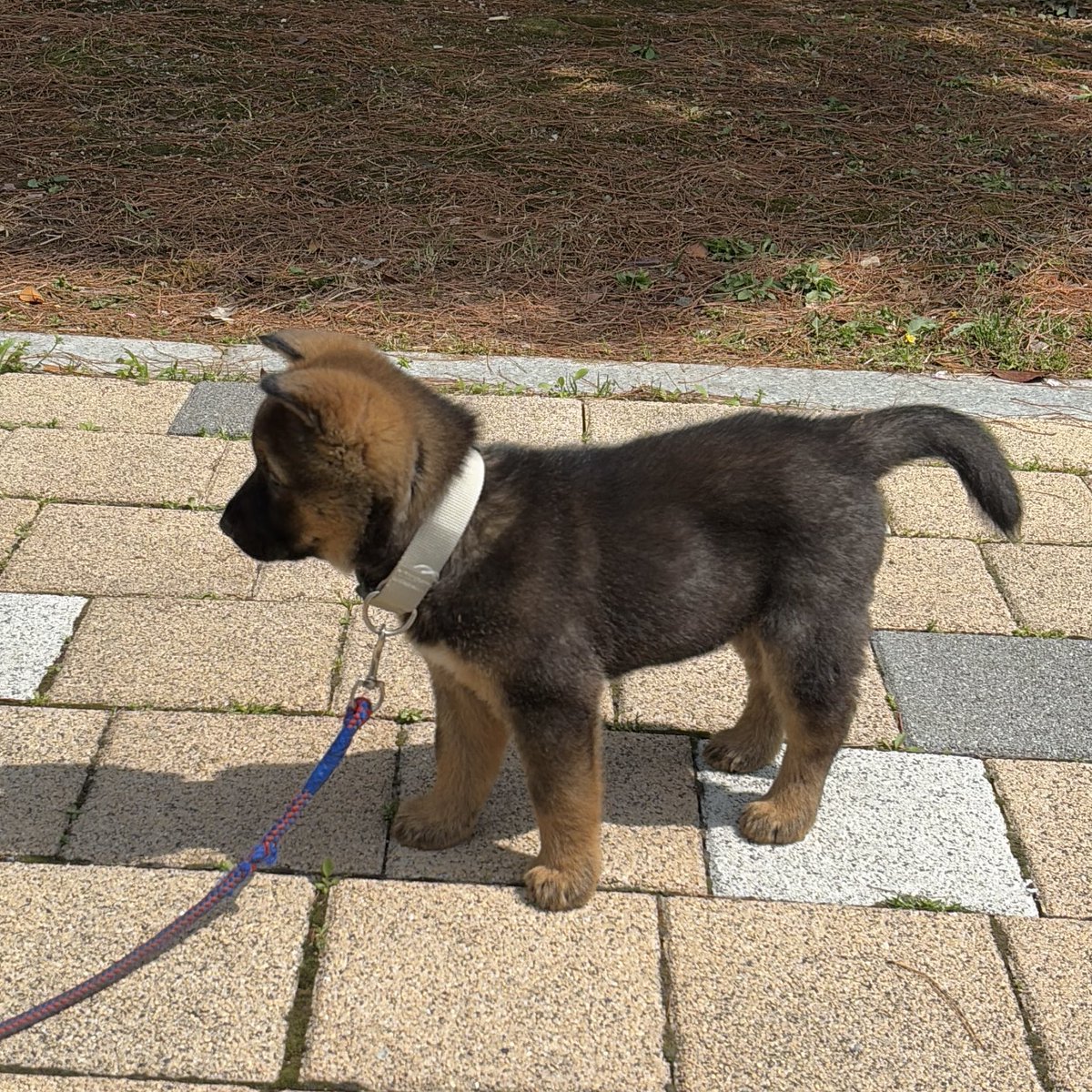 Pᴇᴀᴄʜ Jᴀᴍ .‧˚ ෆ⃛⁺˚ tweet media