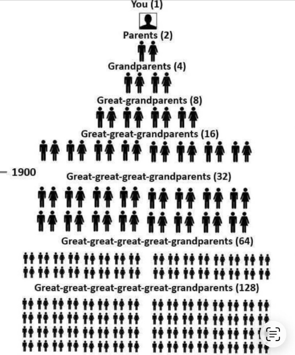 When you choose not to Mary and/or have fewer than 2 kids, you terminate the genetic success of all these people