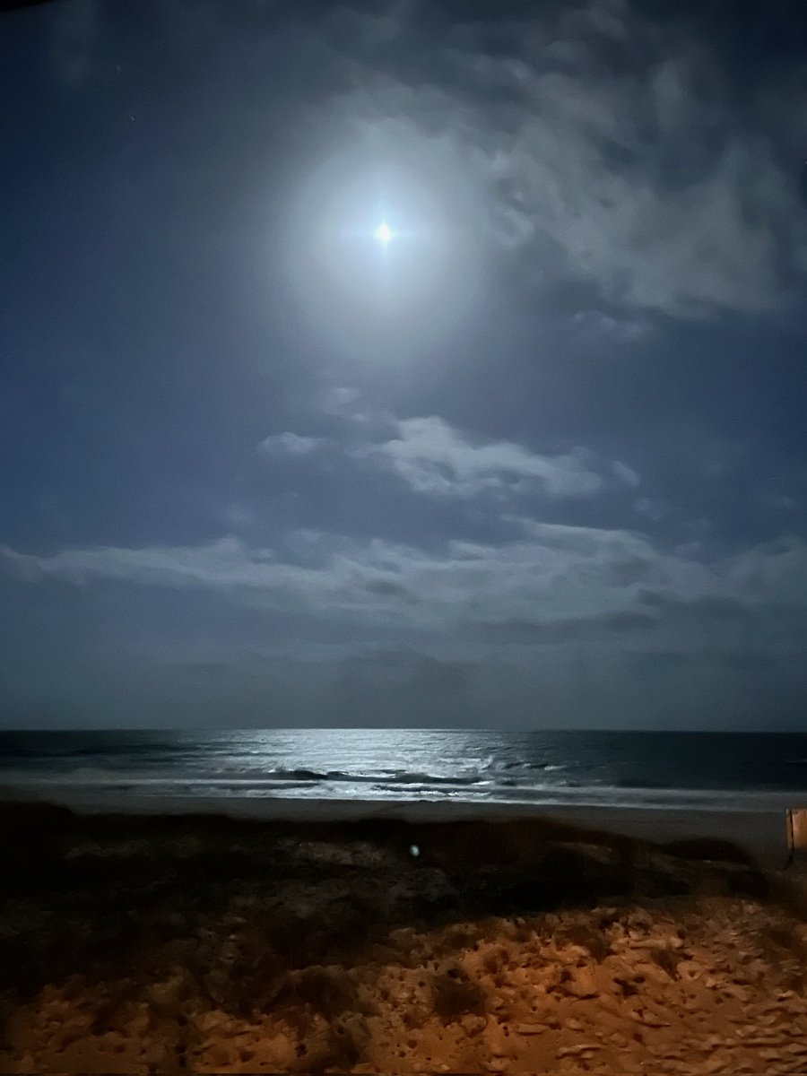 Geriatric Mid Am tweet media