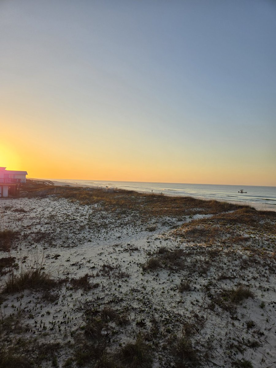 Geriatric Mid Am tweet media