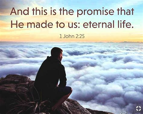 Ken Kalis tweet media