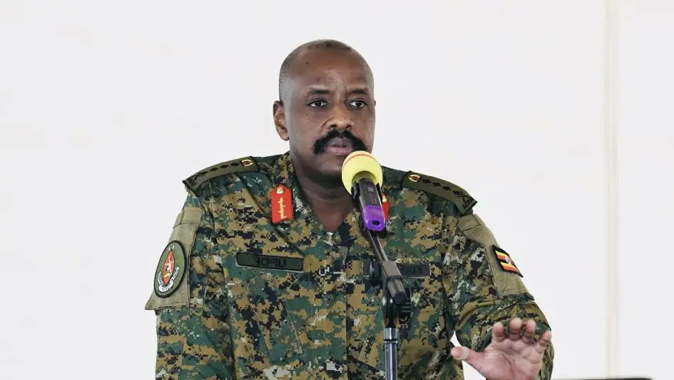 Dürbün tweet media