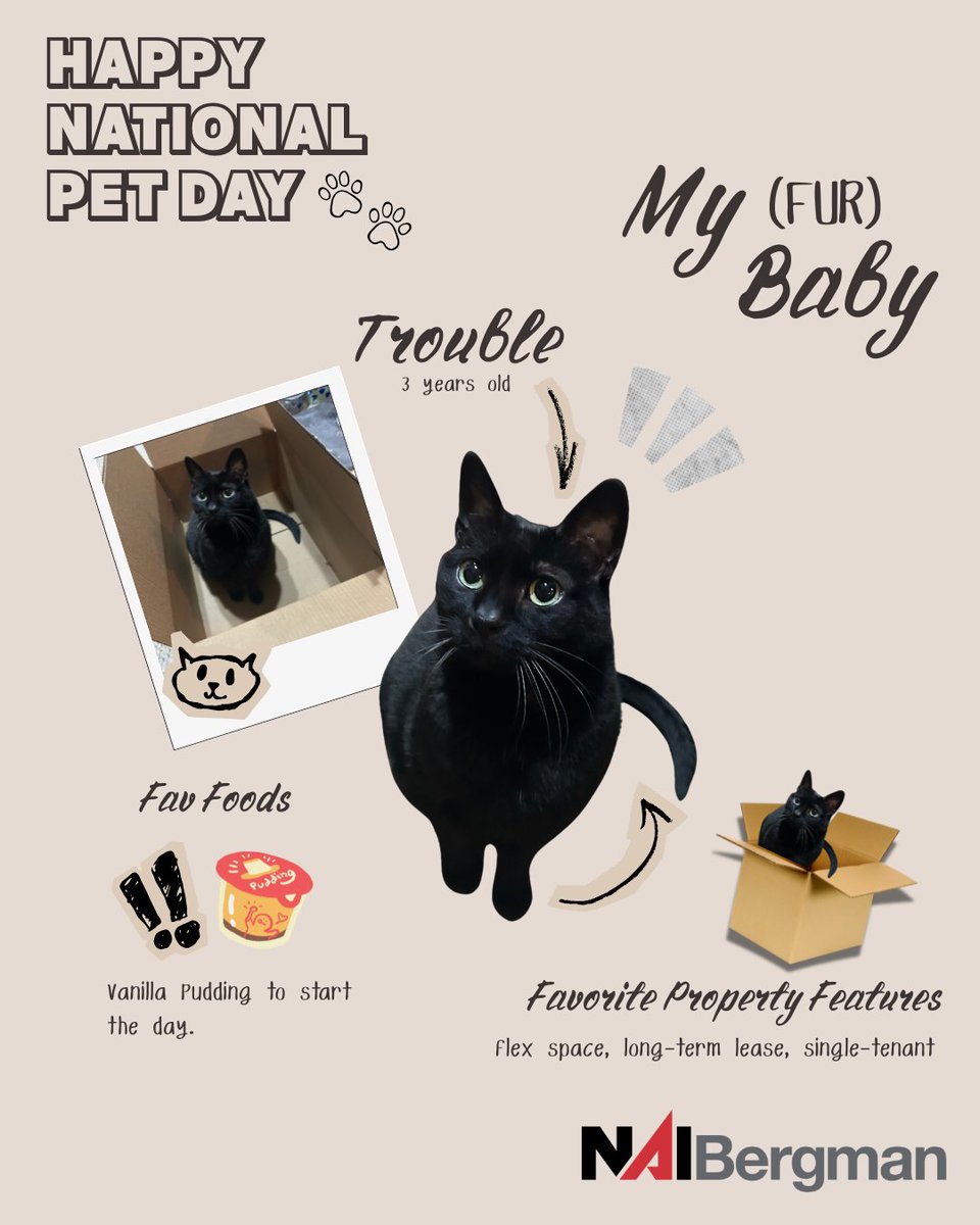 Happy National Pet Day! 🐾

At NAI Bergman, we know that the best coworkers have an unmatched ability to brighten any day. Whether they’re keeping us company during a busy workday or greeting us when we get home, pets remind us to slow down and enjoy the little moments.