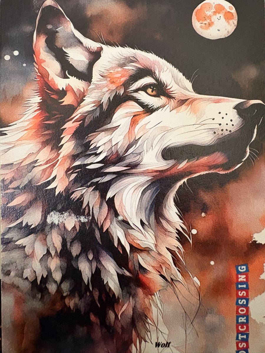 Mir6776's tweet photo. Twee wolvenkaarten van dezelfde #Postcrossing meeting. Hoe leuk is dat! ๐บ๐ฅฐ
#Epic #EchtePostIsCool
@Vikingsmeisje https://t.co/CSuNEtAquo
