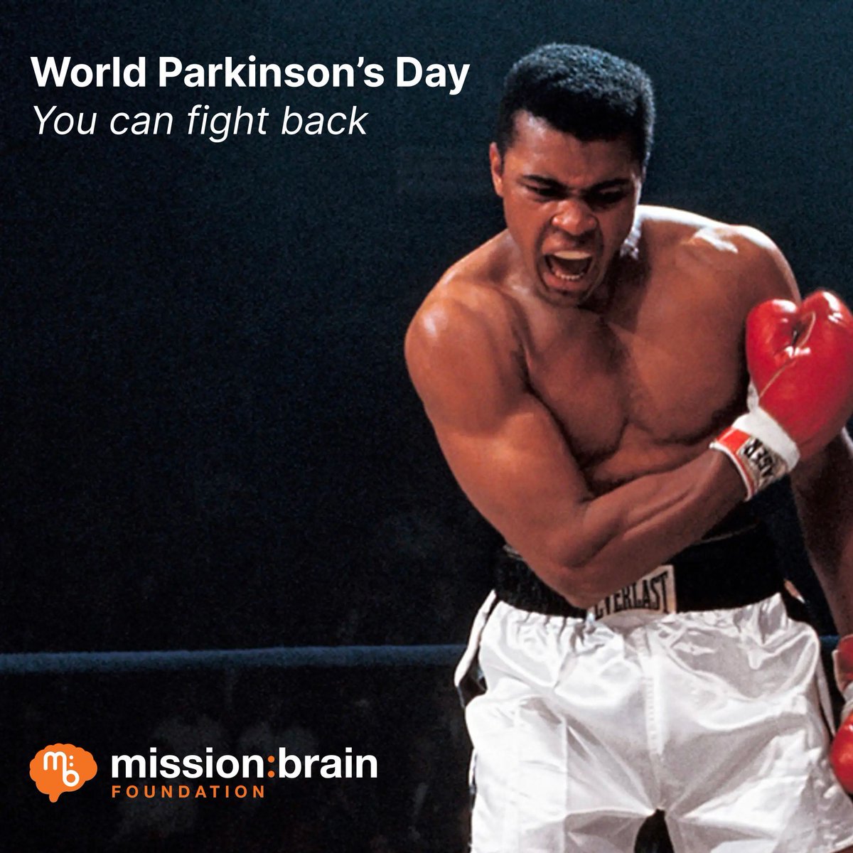 mission:brain tweet media