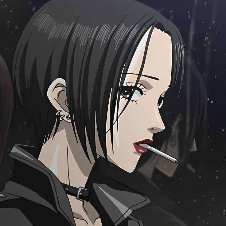 ⚢ orion tweet media