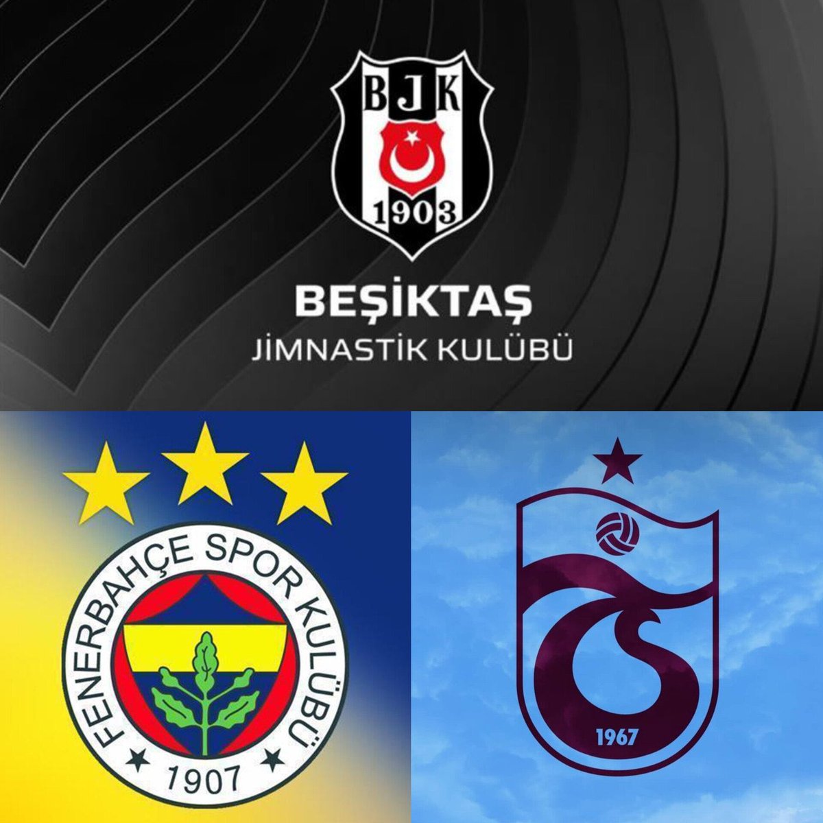 Gala Aslanı tweet media