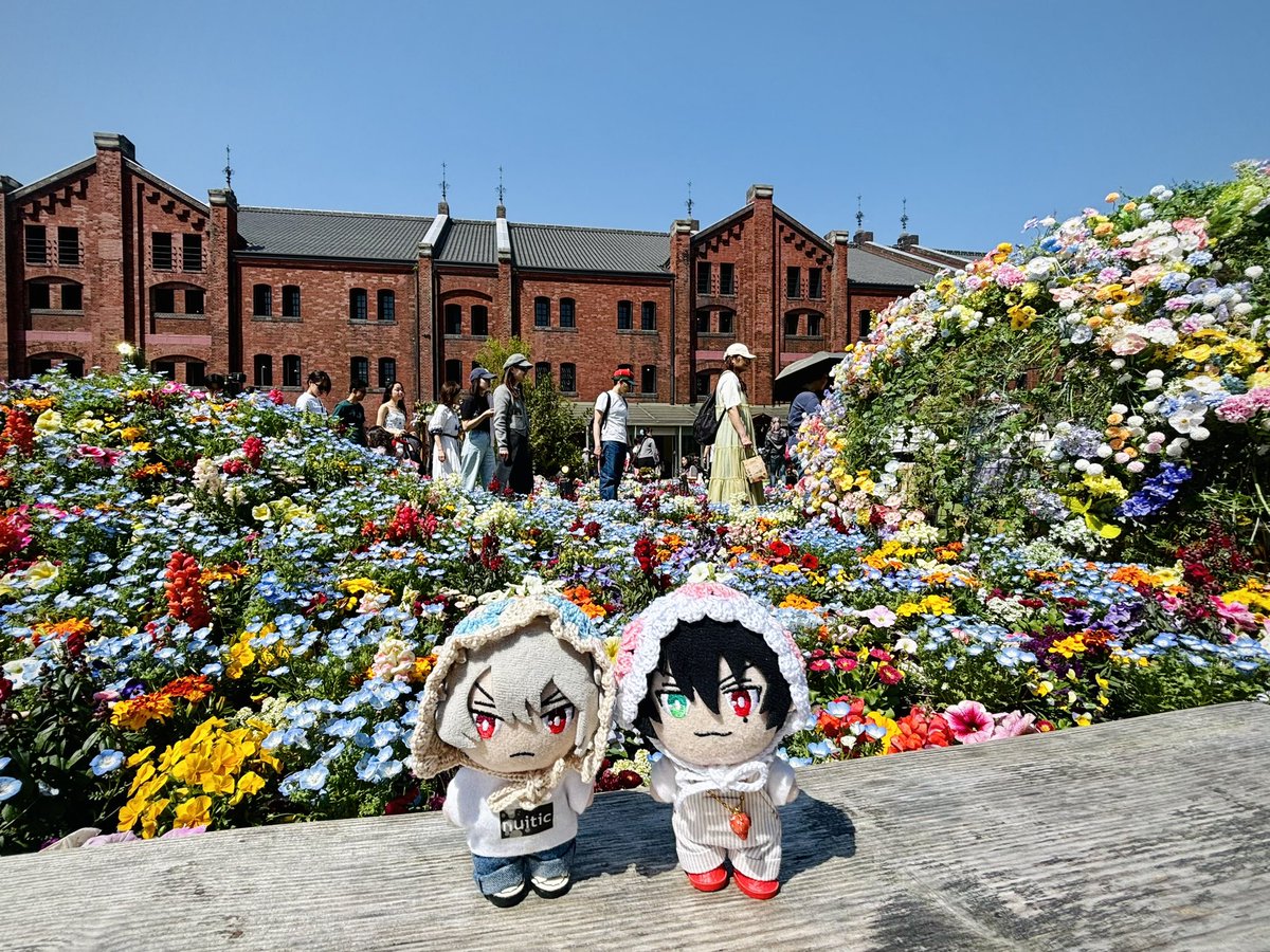 painapo_nui's tweet photo. 💐🤍 https://t.co/1rdLGpytzq