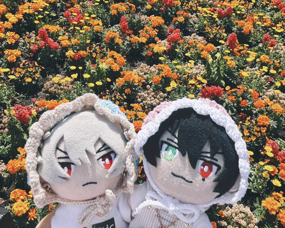 painapo_nui's tweet photo. 💐🤍 https://t.co/1rdLGpytzq