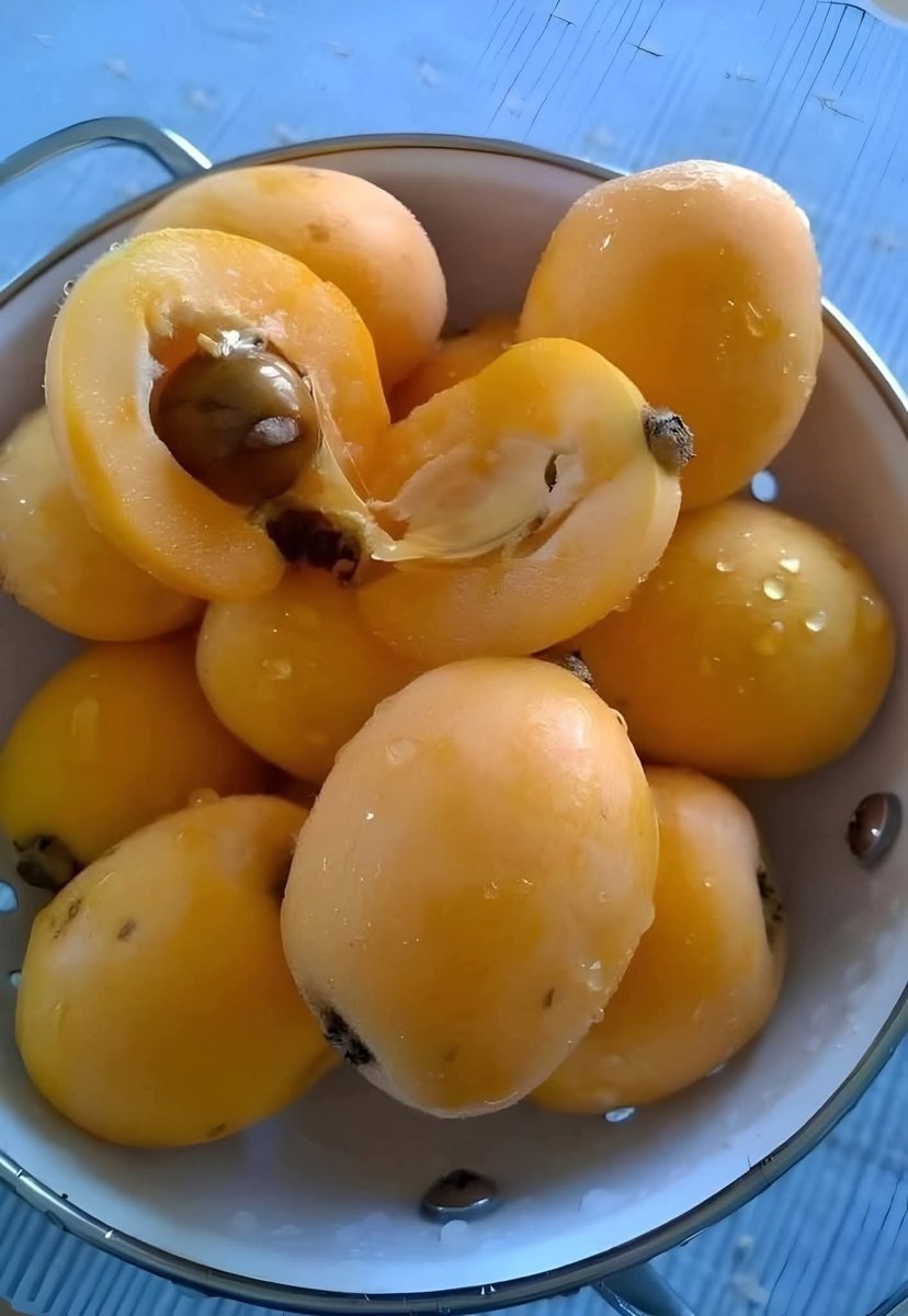 لماذا نحن هنا ؟ tweet media