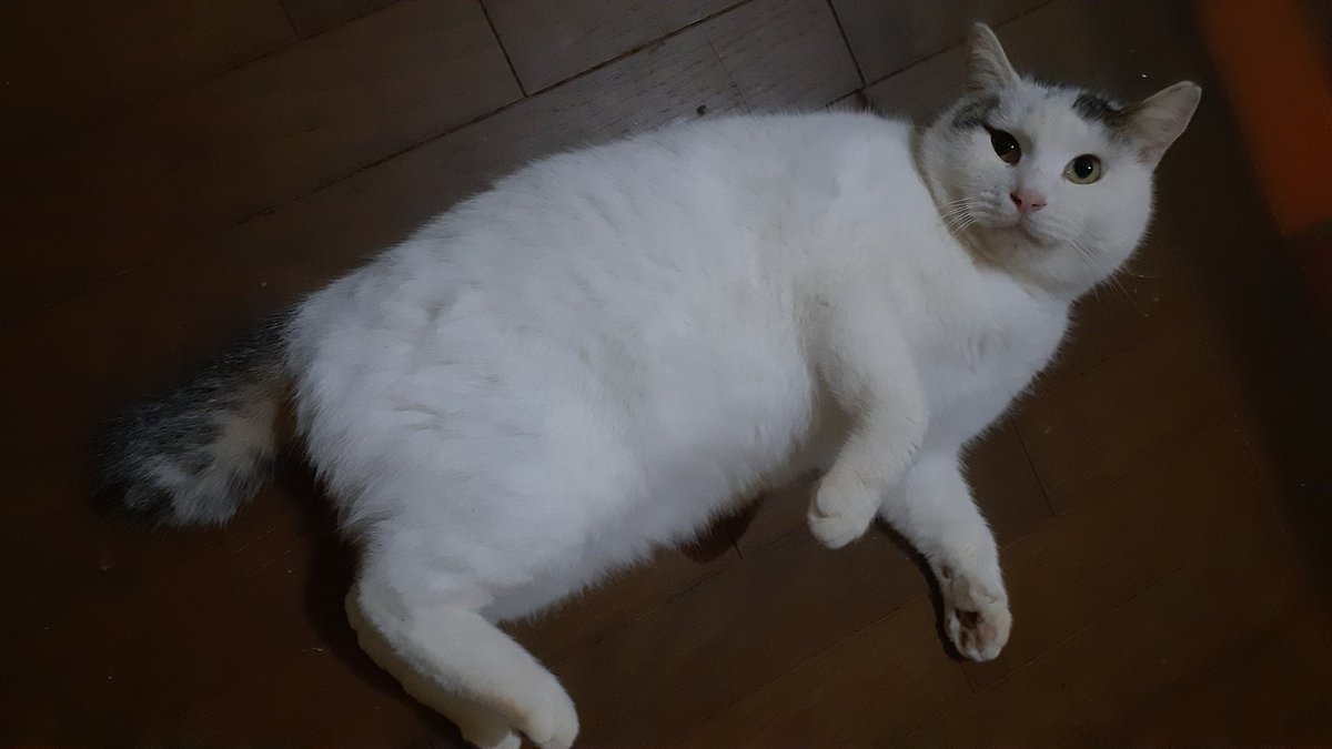 ドンドン太ってきたな💦