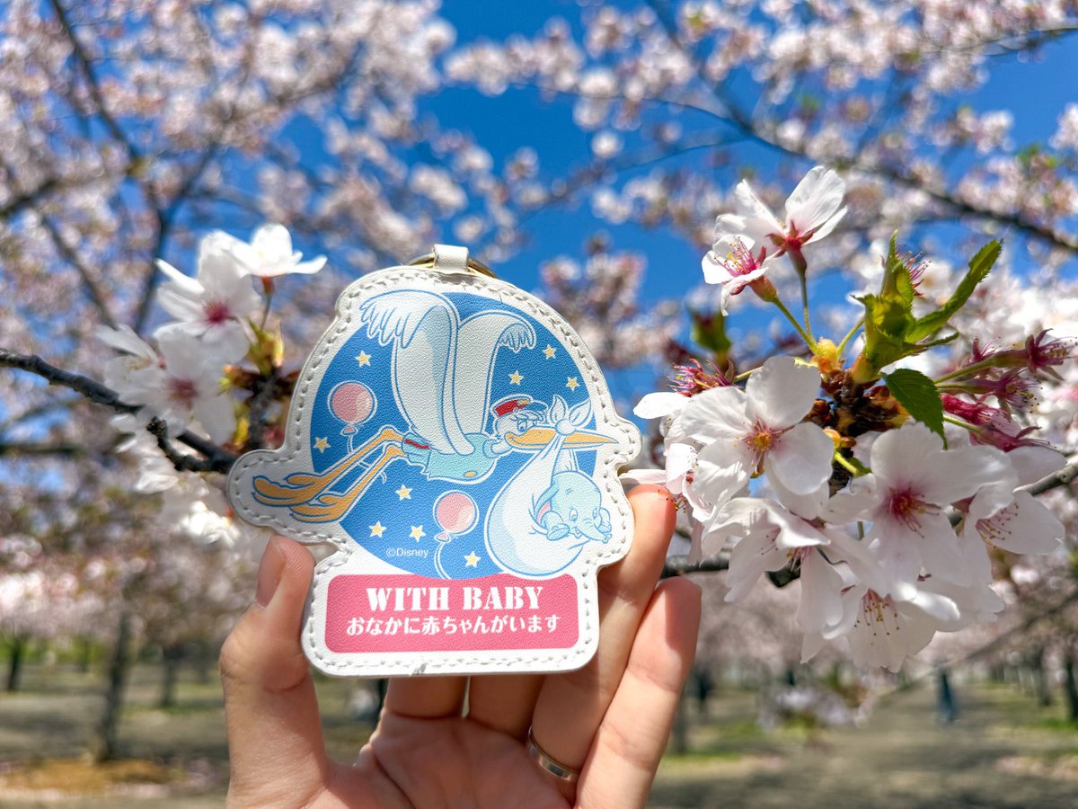 駐妻見習いのもちこ🇬🇧→🇯🇵 tweet media