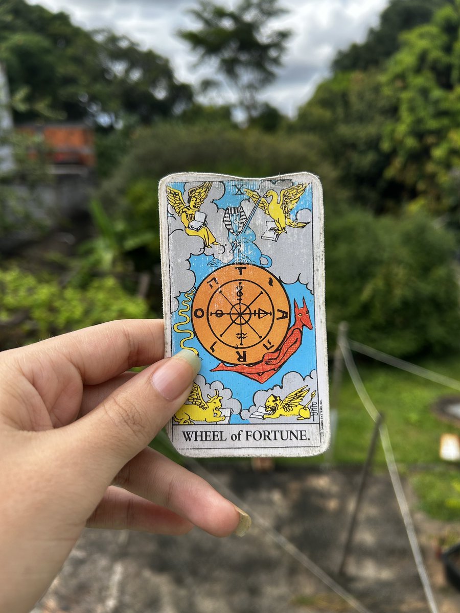 cristal tarot 𓏲ּ𝄢 tweet media