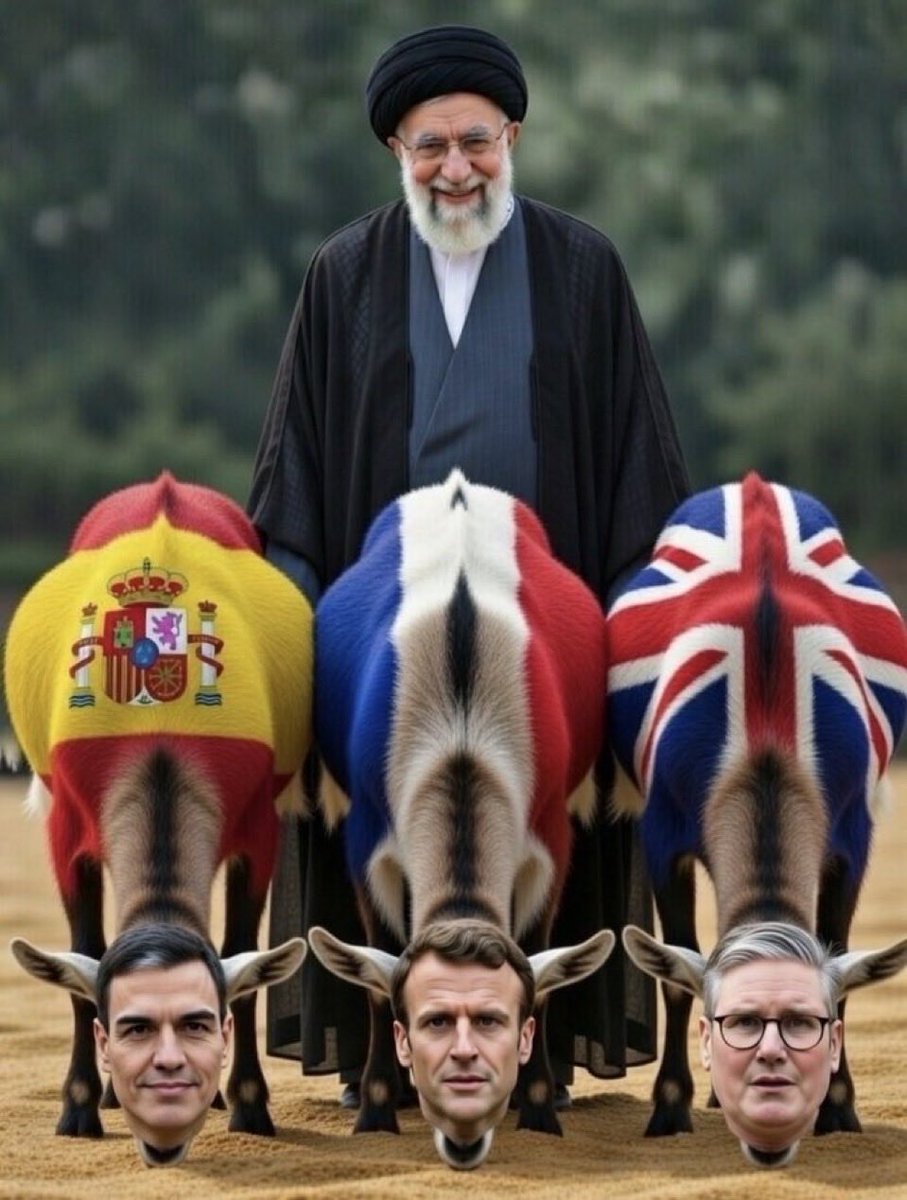 Arian🪭 tweet media