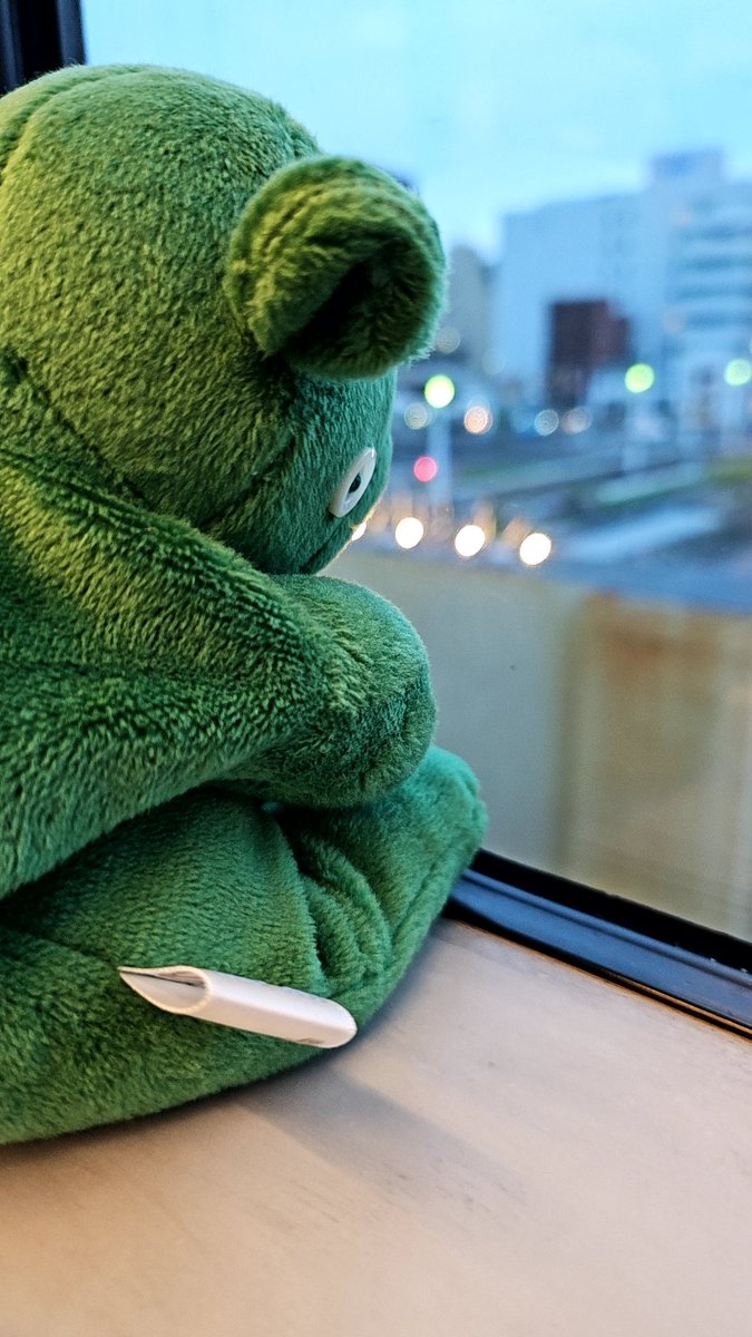 ぽちかな tweet media