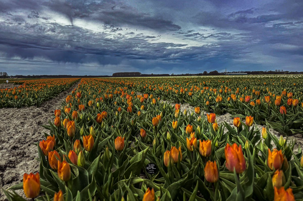 M@rtin 🇳🇱📸🎥🎬 tweet media