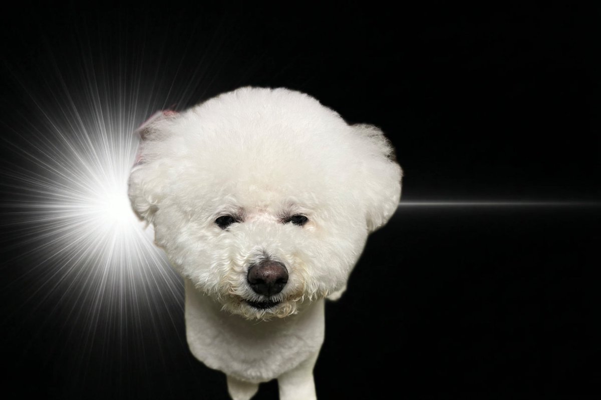 ヘラヘラと笑っている写真ばかり残っているから、こんな感じで精一杯だなぁ。