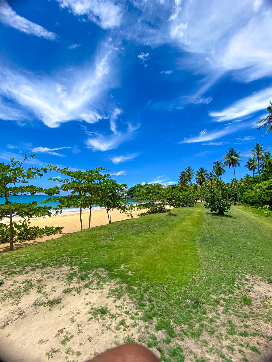 Abel Vlogs tweet media