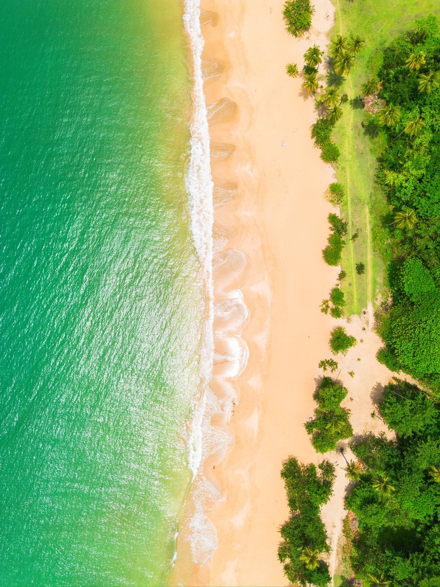 Abel Vlogs tweet media