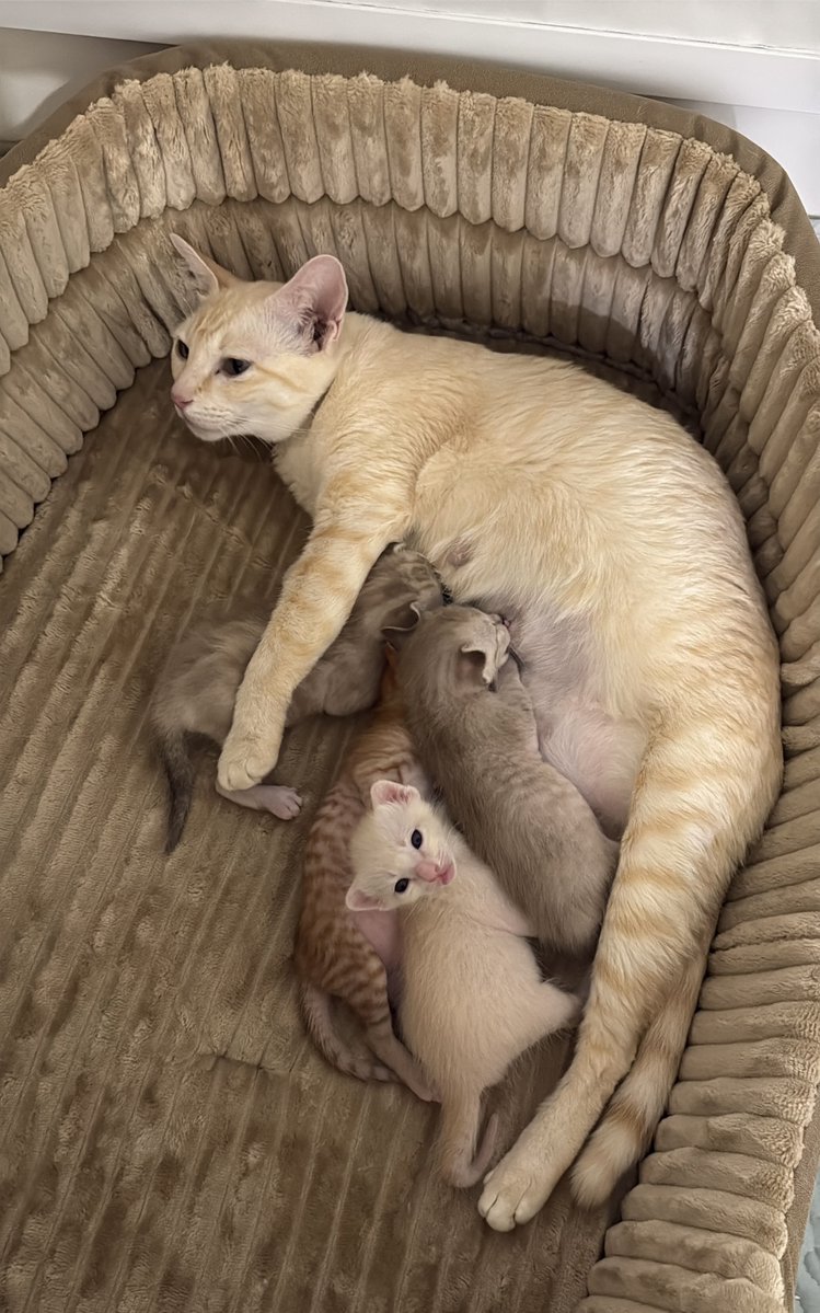 DNVP 💋 (Malonfamily) tweet media